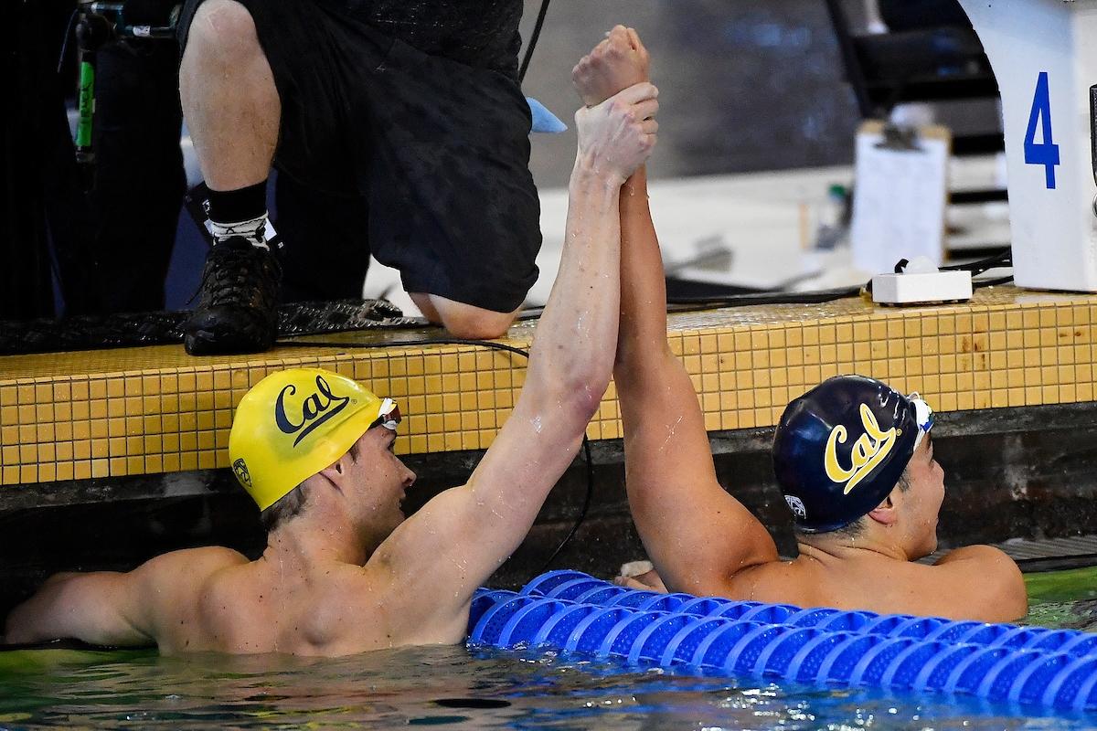 Cal men's swim and dive