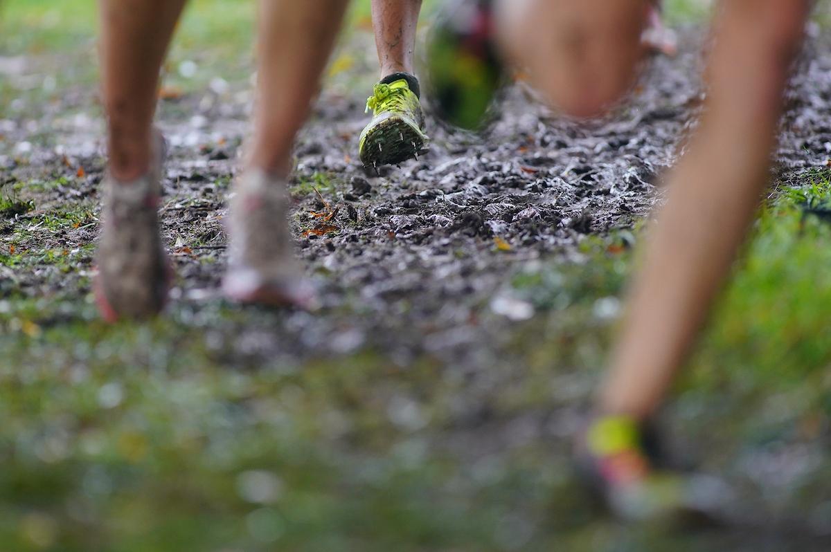 NCAA D2 XC